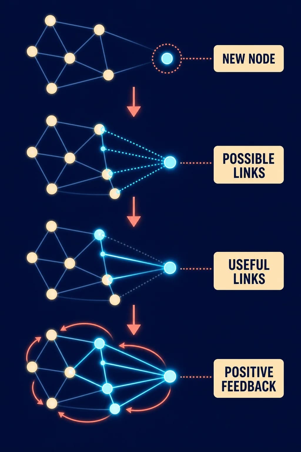 A small network grows one node at a time; each added node reveals several new possible links, while only a meaningful subset become highlighted useful interactions.