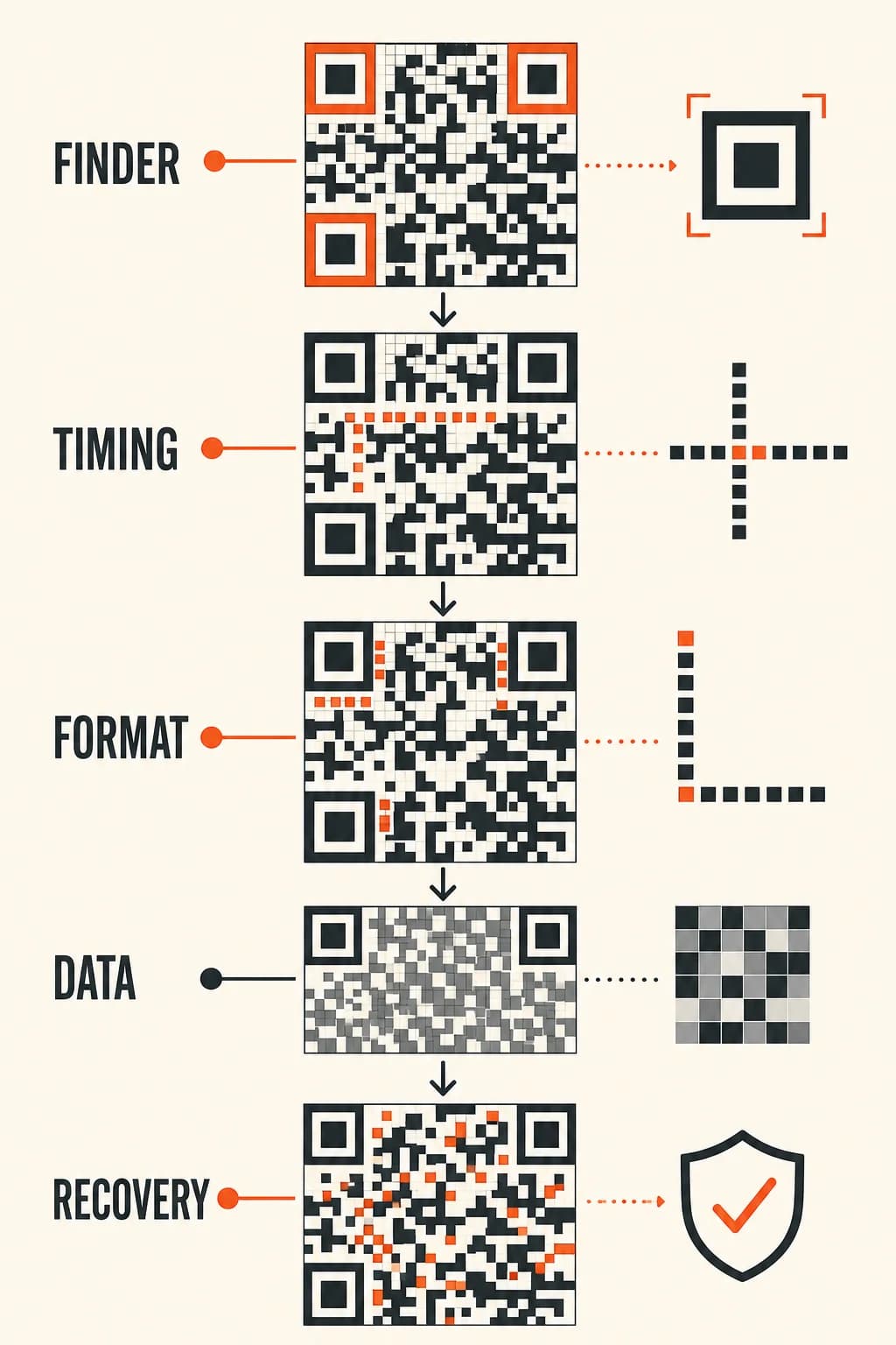 Finder patterns, timing patterns, format information, data codewords, and error-correction codewords occupy distinct jobs in one QR grid.