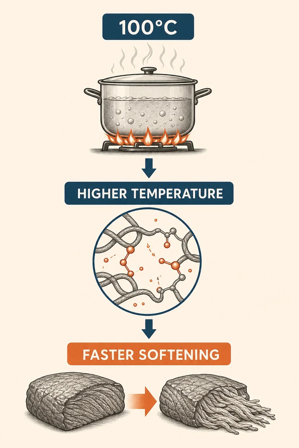A higher cooking temperature speeds heat-driven softening reactions, shortening the time needed for tough foods to become tender.