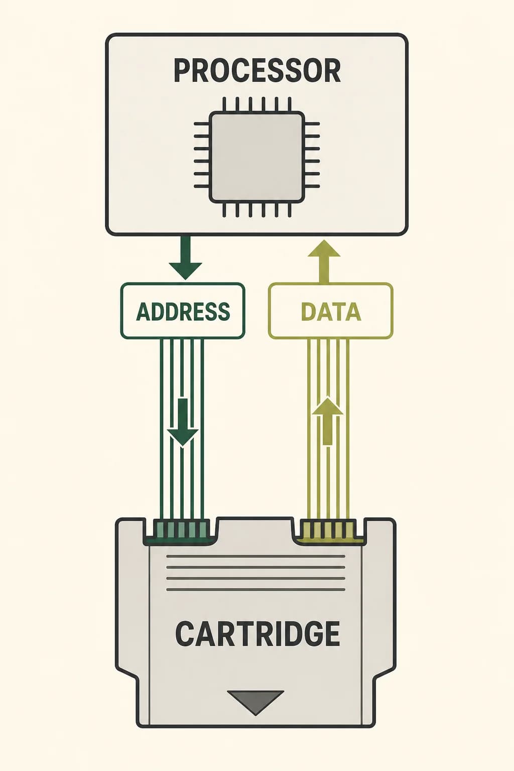 A cartridge remains electrically connected while the processor requests one address and receives one byte over separate address and data paths.