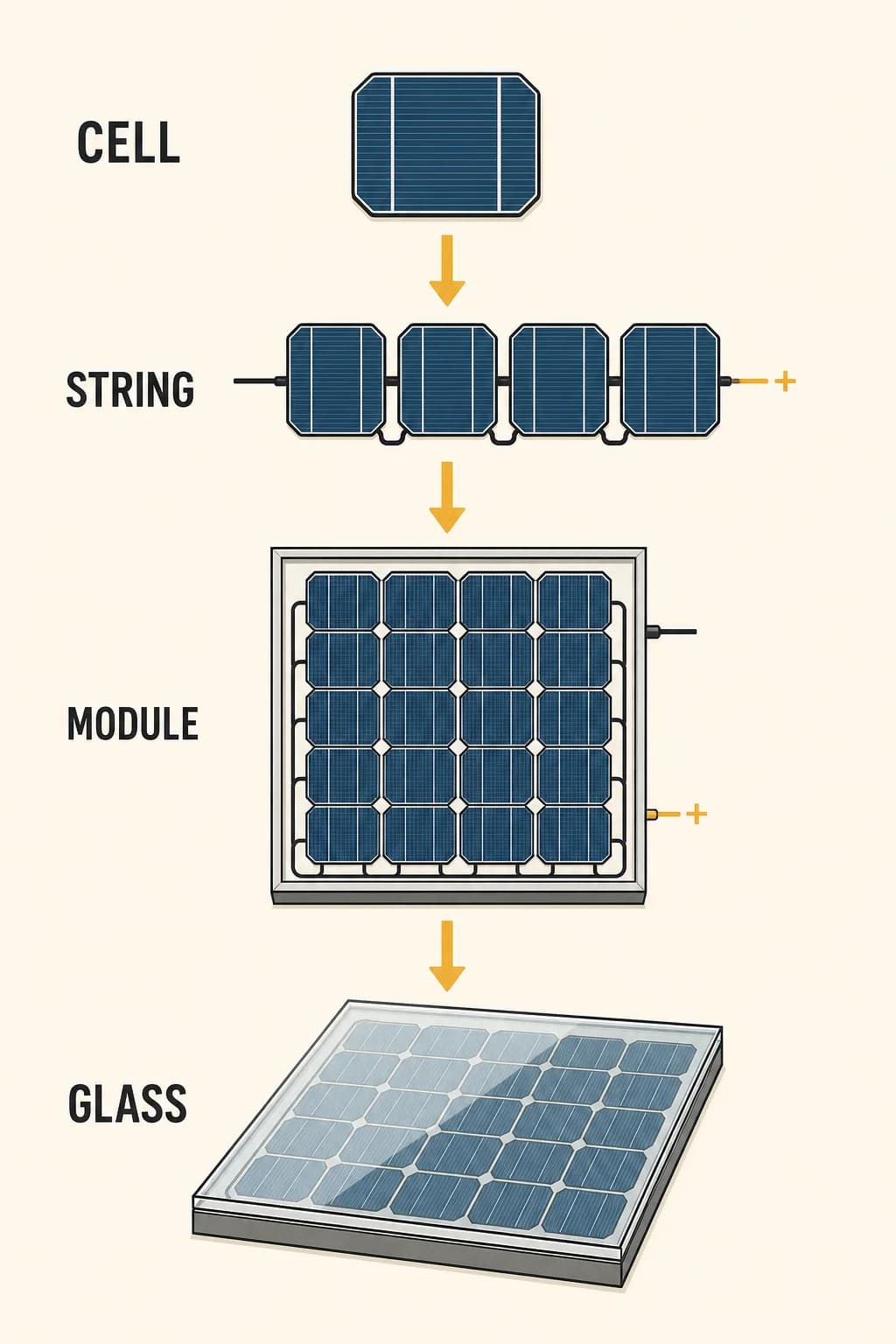 Small photovoltaic cells connect in series and parallel, then laminate under glass to form one weather-protected module.